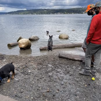 Warren G. Magnuson Park Off-Leash Dog Area